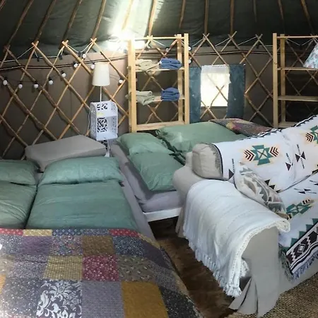 Yurt Between Lilac And Fuchsia * Mountshannon