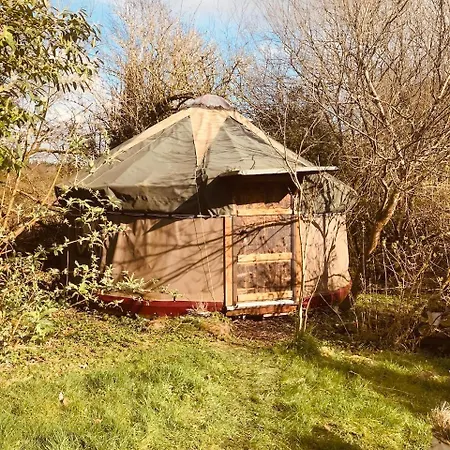Yurt Between Lilac And Fuchsia