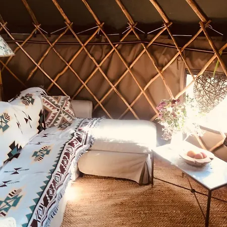 Yurt Between Lilac And Fuchsia