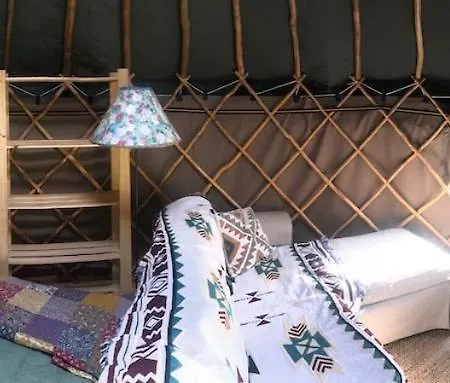 Yurt Between Lilac And Fuchsia Mountshannon